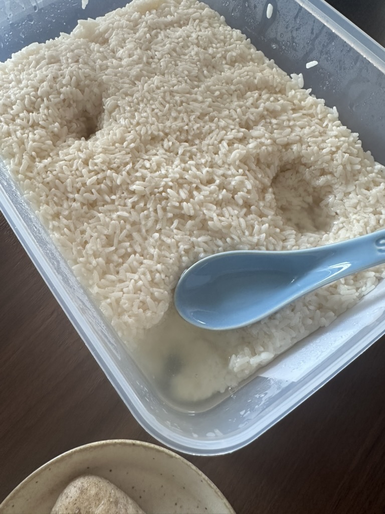 Rice Wine Cake